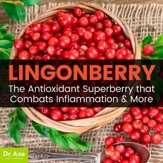 Lingonberry перевод