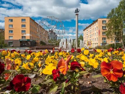 Березовая аллея петрозаводск