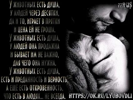 Нам до собак еще расти чтоб вровень