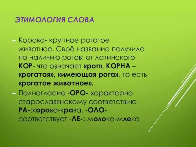 Этимология слова дающий. Этимология слова. этимология слова слово. этимология слова корова. этимологическое происхождение слова корова.