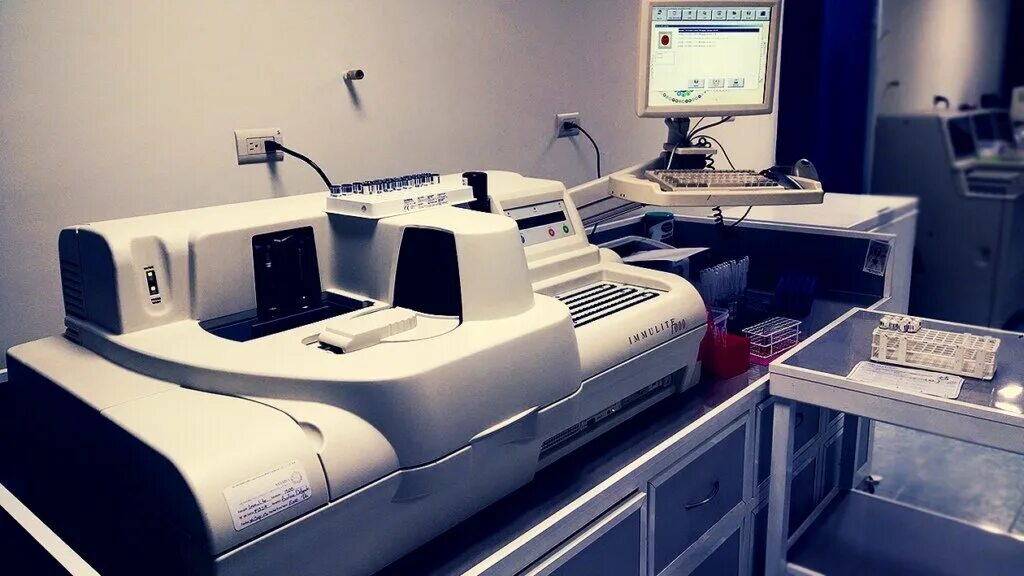 веттест логотип. веттест москва. веттест лаборатория. веттест. веттест бланки анализов.