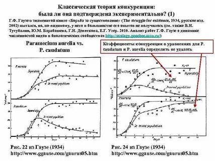 Эксперименты гаузе с инфузориями