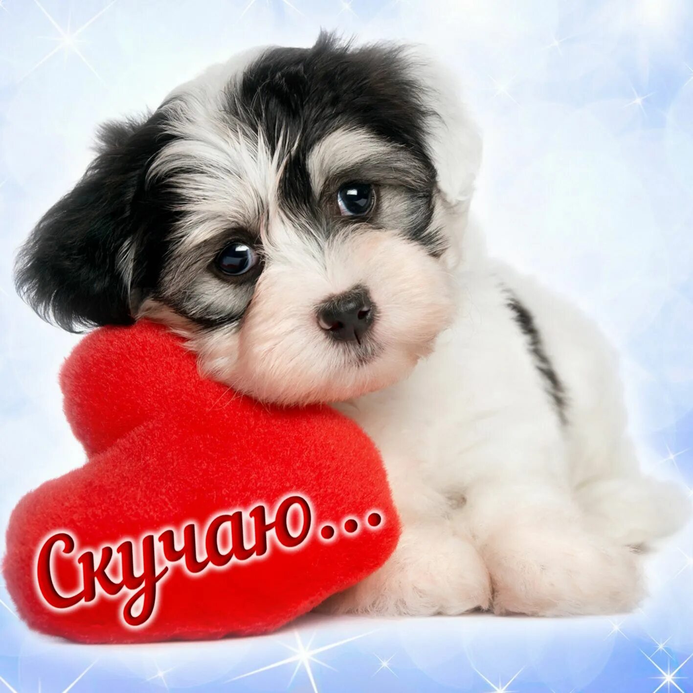 Открытки для любимой девушки скучаю. Любимой девушке. Люблю скучаю. Милые стихи. Открытки люблю скучаю.