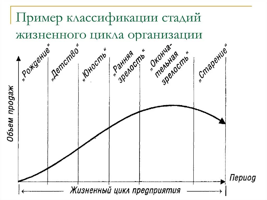 Жизненные стадии компании