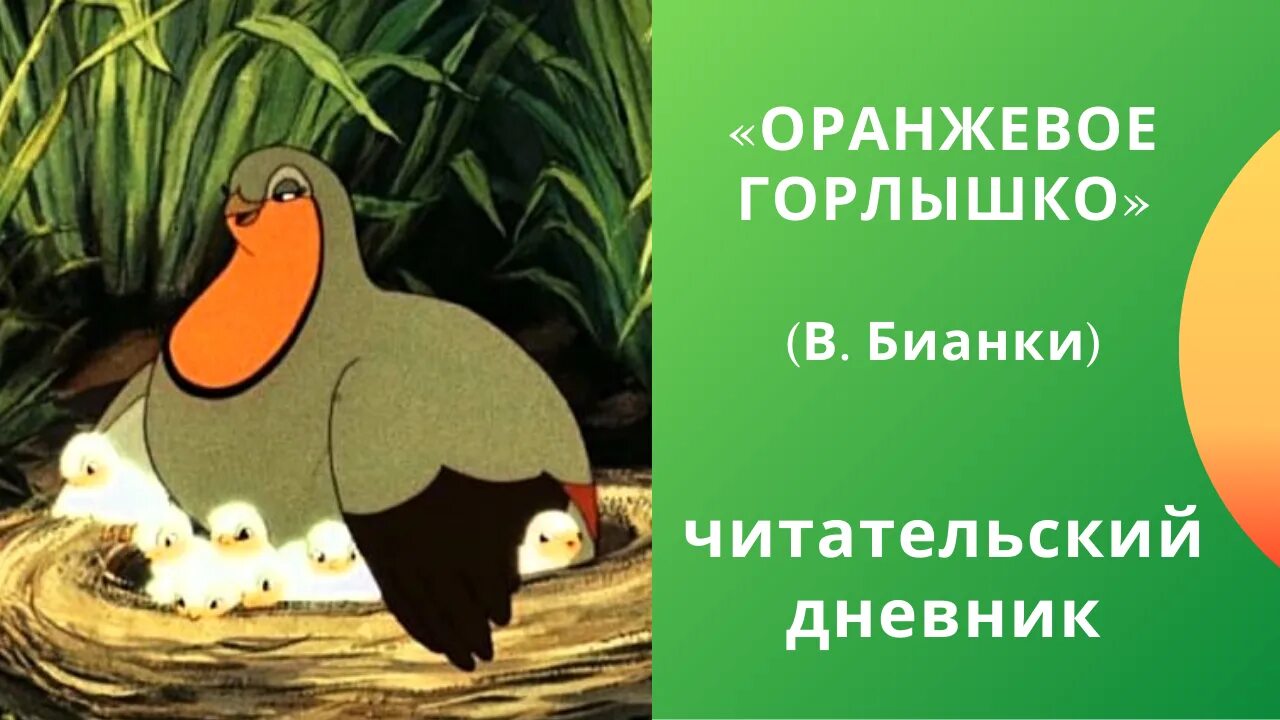 Бианки оранжевое горлышко текст полностью. Книга Бианки оранжевое горлышко Мурзук. Бианки оранжевое горлышко читательский.