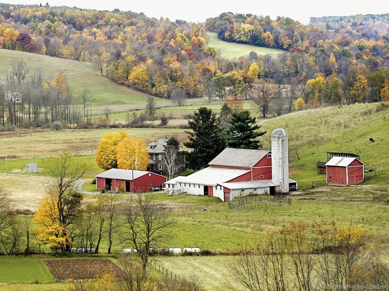 Country photos. Штат Вермонт США глубинка. Штат Огайо деревни. Огайо Амиши. Штат Канзас глубинка.