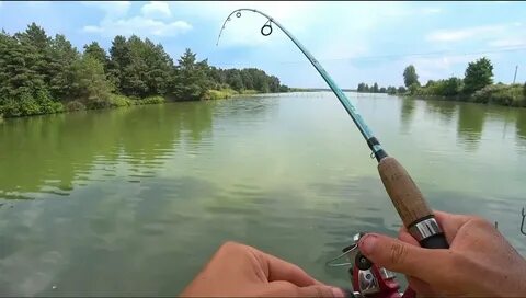Видео на ловлю карпа