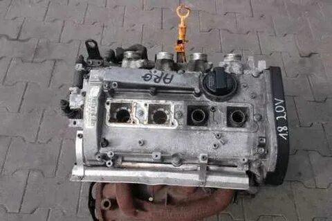 Arg 8