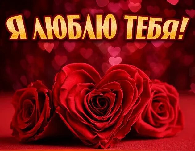 Признание в любви любимому мужчине. Люблю тебя очень очень. Я любил тебя. Я тебя очень люблю. Я любил тебя.