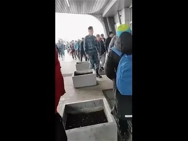 Мигрантов массово выдворяют из москвы и питера