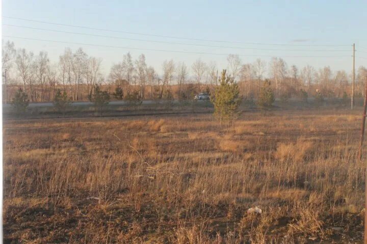 Погода в бельмесево на 10. Погода в бельмесево на 10. П бельмесево алтайский край. Бельмесево алтайский край. Озеро бельмесево рыбалка.