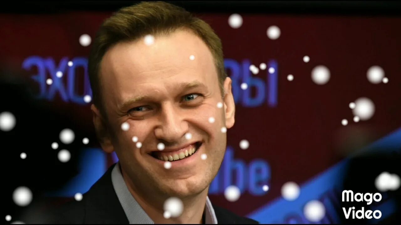 Элизиум Навальный. Привет это Навальный. Группа Элизиум привет это Навальный. Навальный Live шоу. Привет это навальный текст