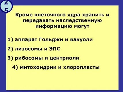 Ядро хранит передает наследственную информацию