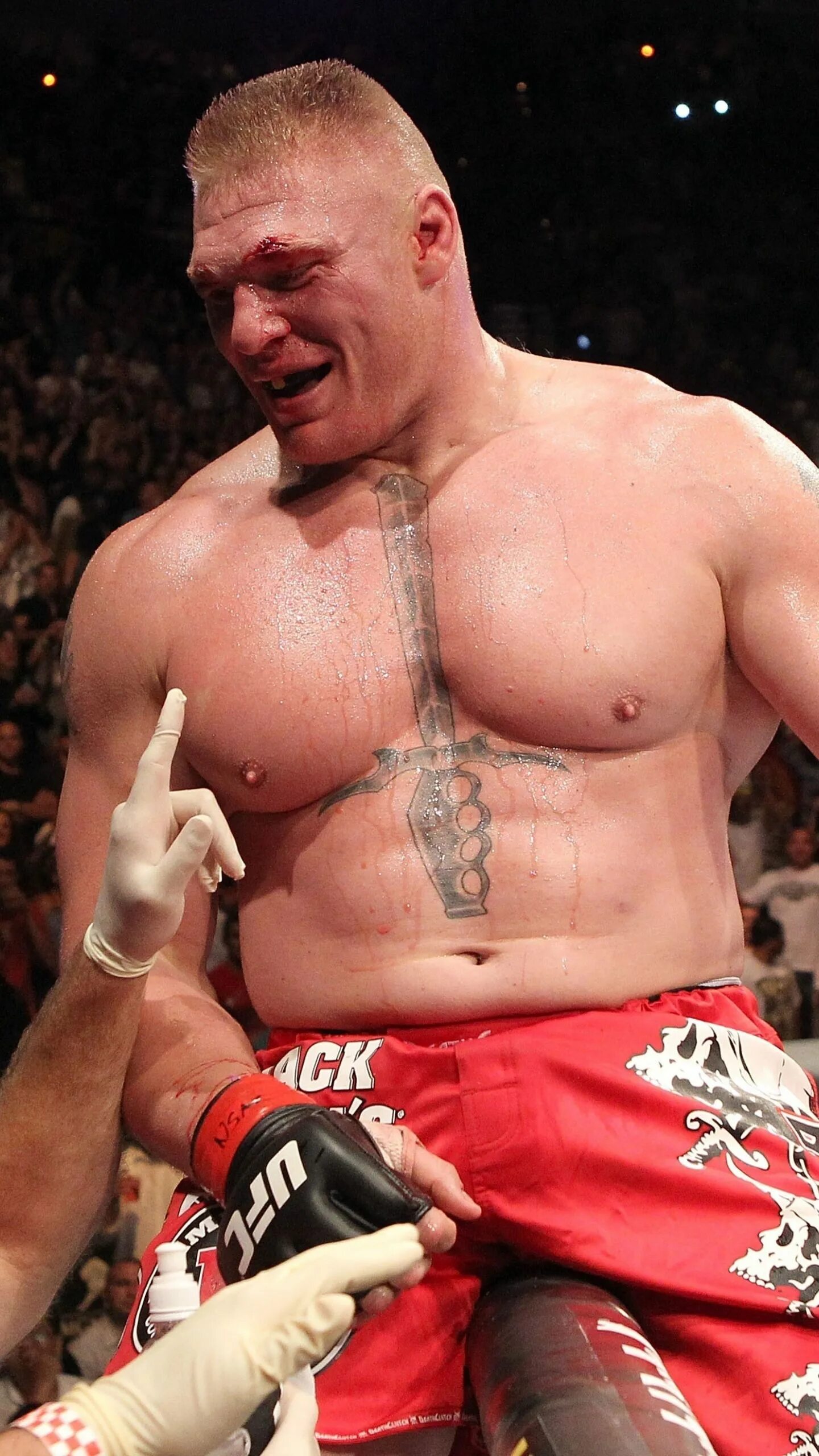 Брок леснар чемпион ufc. Брок леснар боец. Боец юфс леснар. Ufc 4 обновление. Брок леснар ufc.