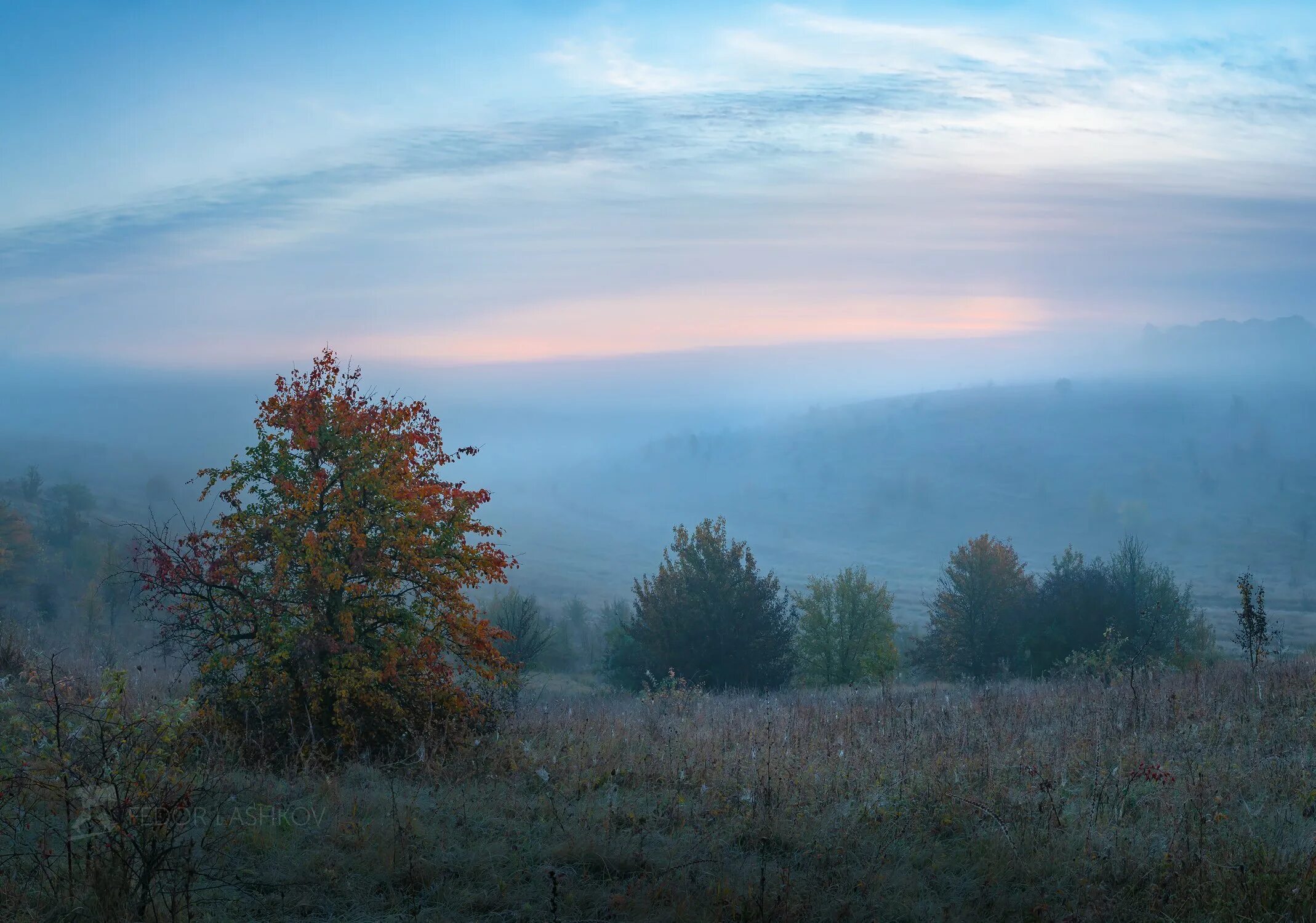 Раннее утро. Предрассветный туман. Осенний волгоград в тумане. Утренняя заря. В туманном зори.