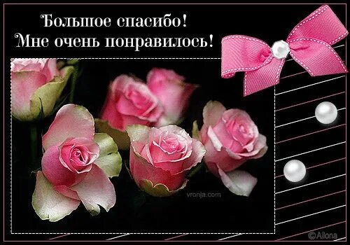 Очень красиво надпись. Спасибо за красивую композицию. Спасибо все прекрасно. Спасибо все прекрасно. Красивые благодарности за стихи.