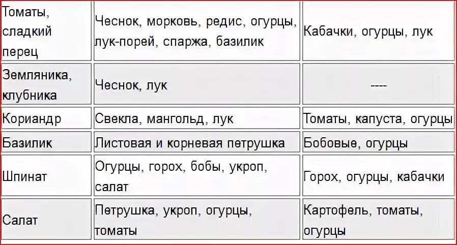 Что посадить на грядку после свеклы