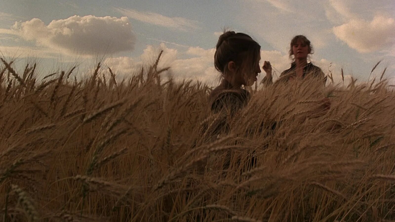 Дни жатвы / Days of Heaven". Терренс Малик дни жатвы. Терренс Малик «дни жатвы», 1978).. The knowing field