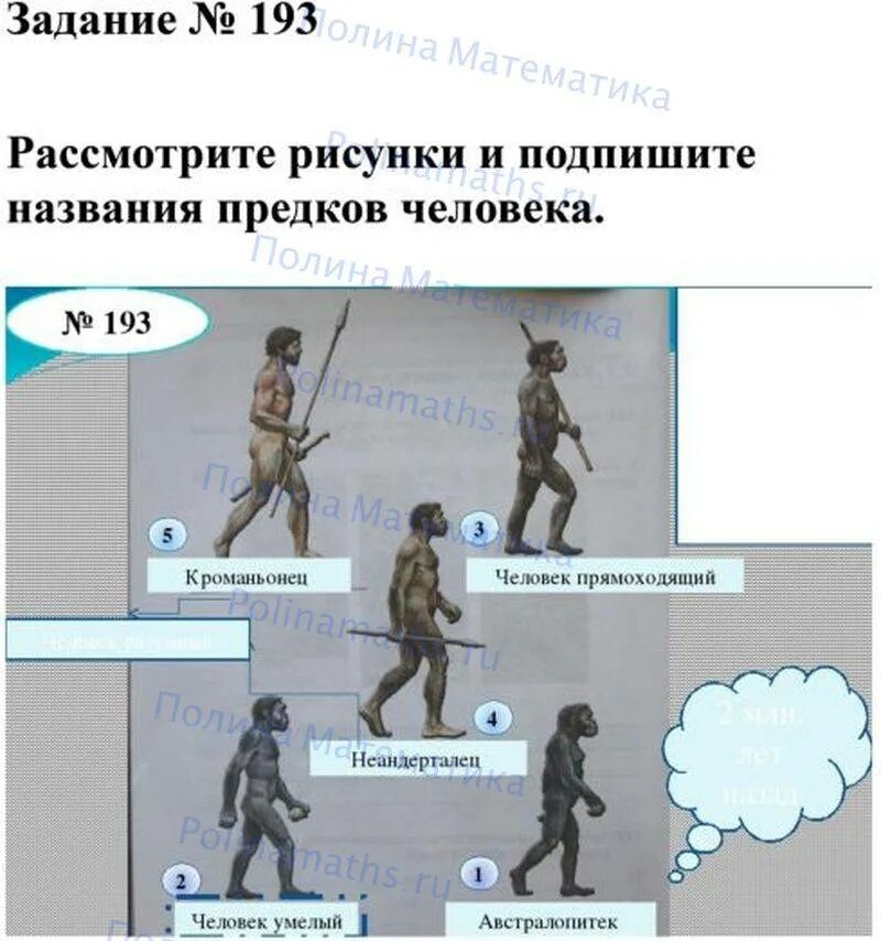 Непосредственные предки современного человека. Названия предков человека. Рассмотри рисунки и Подпиши названия предков человека. Рассмотрите рисунки и подпишите названия предков человека. Предки человека таблица.