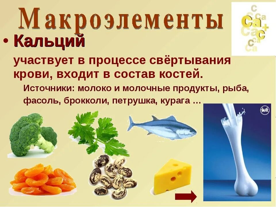 Давать ли кальций ребенку. Кальций. кальций в организме. кальций микроэлемент. продукты которые полезны для костей.