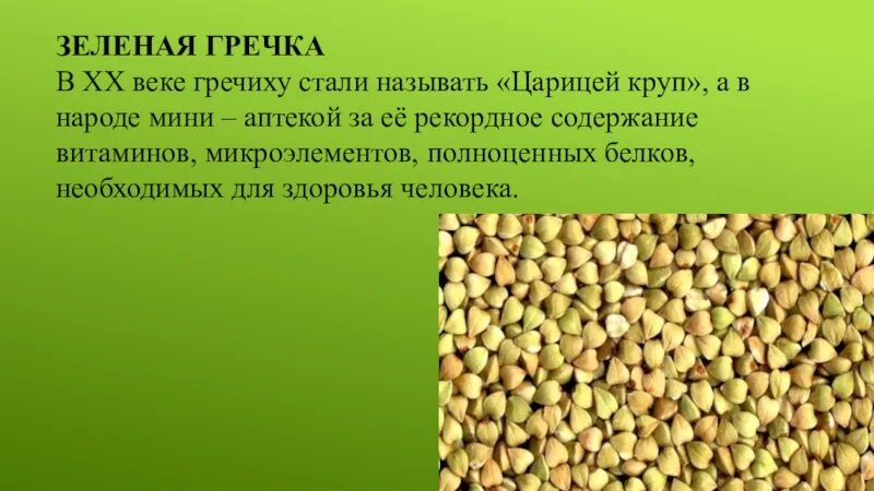 Житница гречка. Почему гречка зеленая. Почему гречка зеленая. Почему гречка зеленая. Польза гречки.