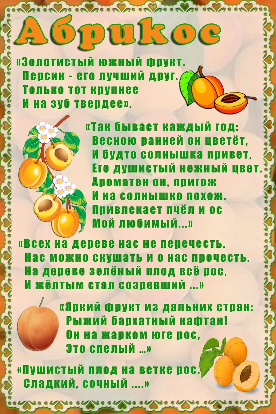 Загадки про овощи 6 лет. Загадки про фрукты и овощи для детей дошкольного возраста. Загадки про фрукты. Загадки про овощи. Загадки про фрукты для детей.