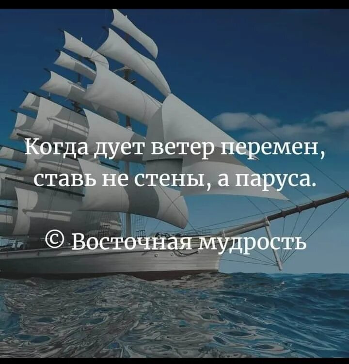 Ветром дуют паруса. Когда дует ветер перемен. Когда дует ветер перемен ставь не стены а паруса. Когда дует ветер перемен ставь не стены а паруса картинки. Снова дует ветер перемен.