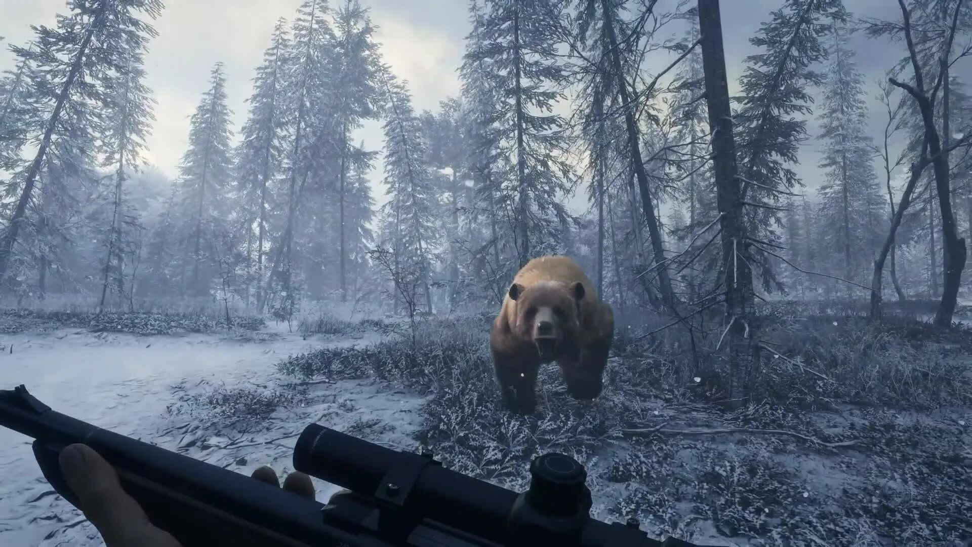 Зе хантер калов зе вайлд. The Hunter Call of the Wild. Медвежья Тайга the Hunter. The Hunter Call of the Wild Medved-Taiga. The Hunter Call of the Wild ПС 4.