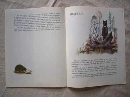 Пришвин лес читать