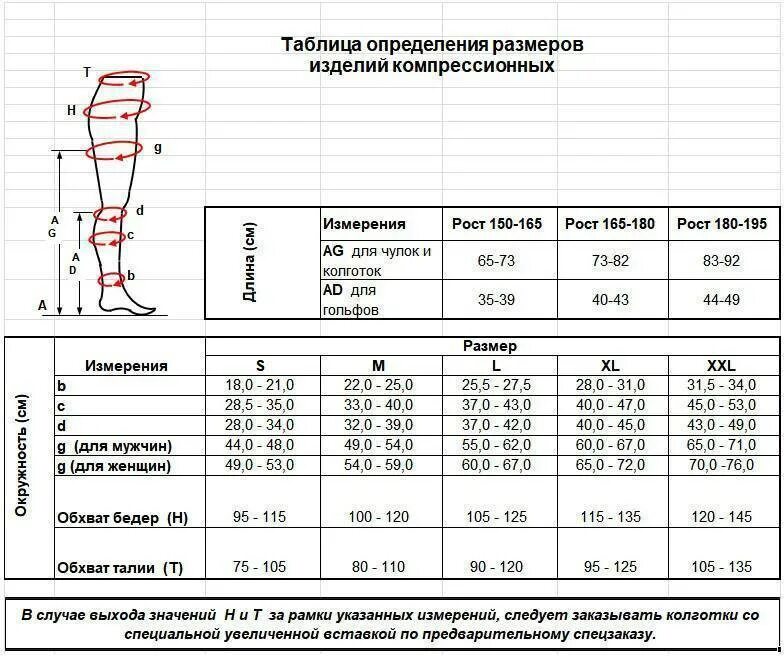 Как правильно подобрать женские чулки - найдено 87 картинок