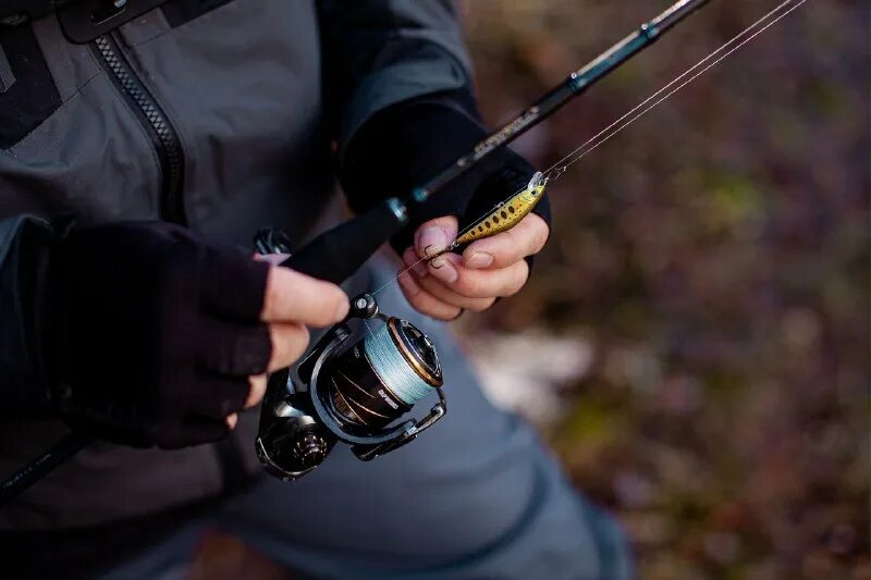 акватория спиннинга