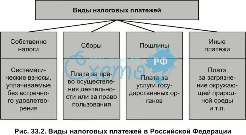 Территорию право сбора налогов. Разновидности налоговых платежей. Налоговые платежи относятся к. Виды пошлин налоговых. Налоговые платежи это какие.