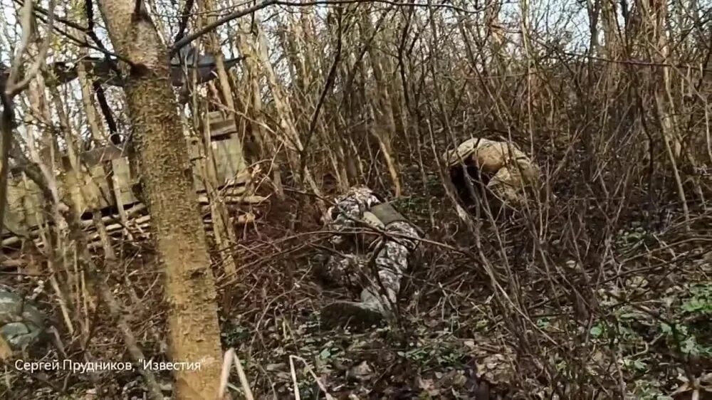 Кременное направление новости. Кременное обстановка. Сватово передовая. Кременная бои. Обстановка в Кременной сейчас.