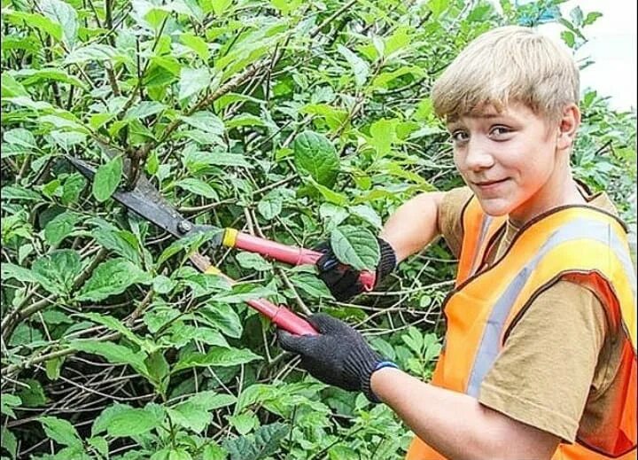 Подростки на работе. Подработка для школьников 14. Найти работу для школьников. Работник подросток. Курьер подросток.