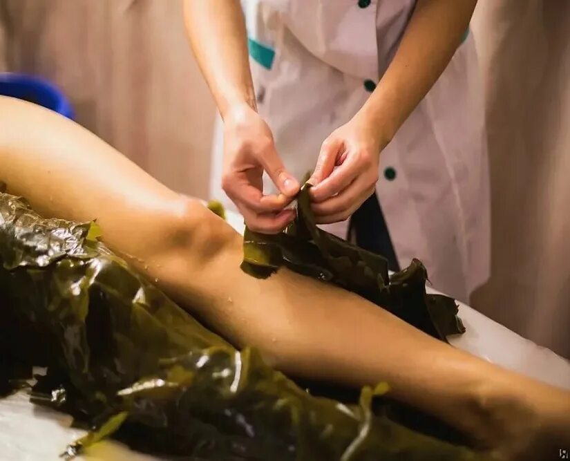 Обертывание при месячных можно ли. Водорослевое обертывание. обертывание ламинарией. обертывание микронизированными водорослями. спа обертывание водорослями.