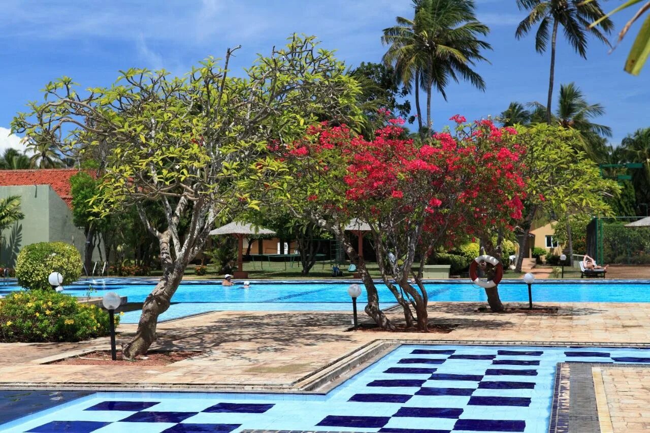 Палм шри ланка. Club Palm Bay Hotel 4* (Маравила). Club Palm Bay Шри Ланка. Шри Ланка отель Club Palm Bay 4. Шри Ланка Club Palm Bay бунгало.