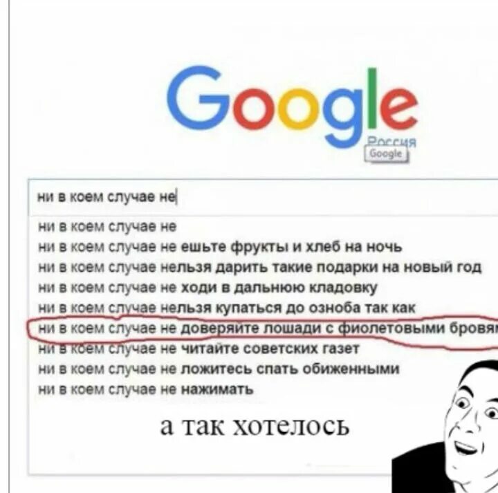 В коем случае не показывайте. Лошадь с фиолетовыми бровями. Не в коем случае не доверяйте лошади с фиолетовыми бровями. Страшные слова которые нельзя гуглить.