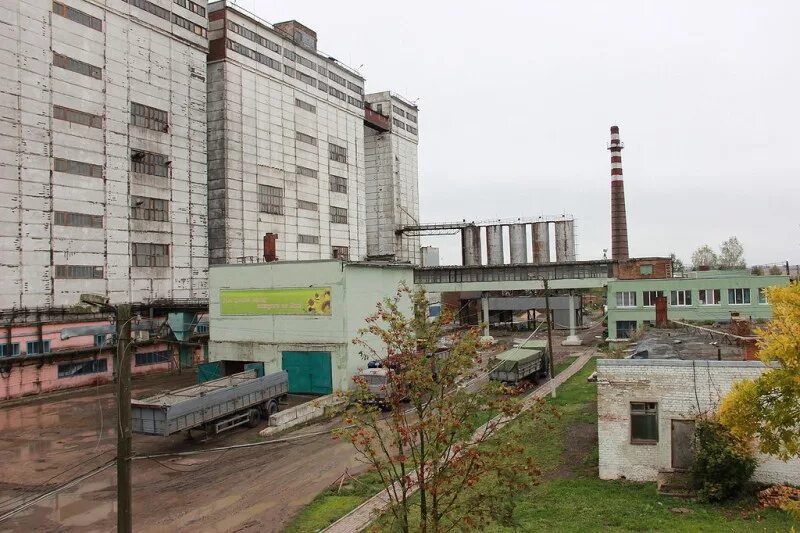 В 2025 году "Агроком Холдинг" запустит собственный завод комбикормов