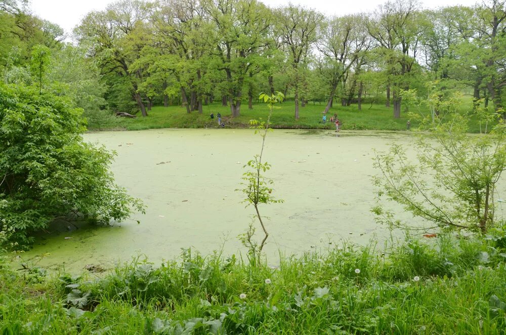 Эмануэльевское урочище ставрополь. Урочище ртищева дача. Эммануэльевское урочище. Урочище ртищева дача ставрополь. Эмануэльевское урочище ставрополь на карте.