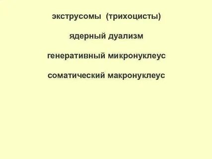 Простейшие лекция