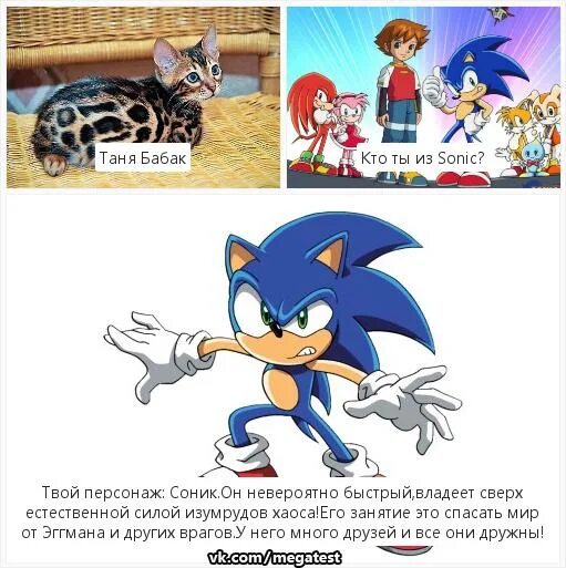 Тест кто ты из соника. Тест кто ты из соника. Тест кто ты из соника. Кто ты из соника. Кто ты из соника по знаку зодиака.