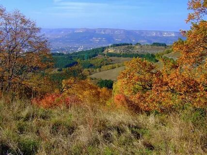 Осень в кисловодске