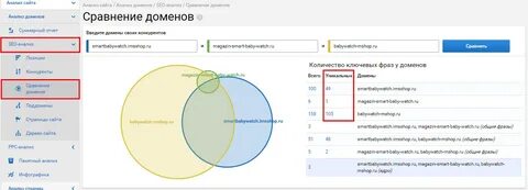 Проанализировать домен