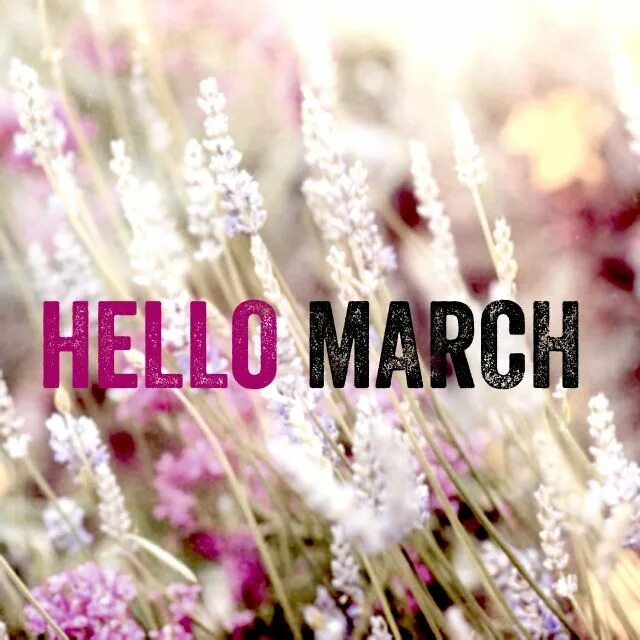 Pictures march. Привет март. Привет март/hello March. Hello March картинки. Привет март надпись.