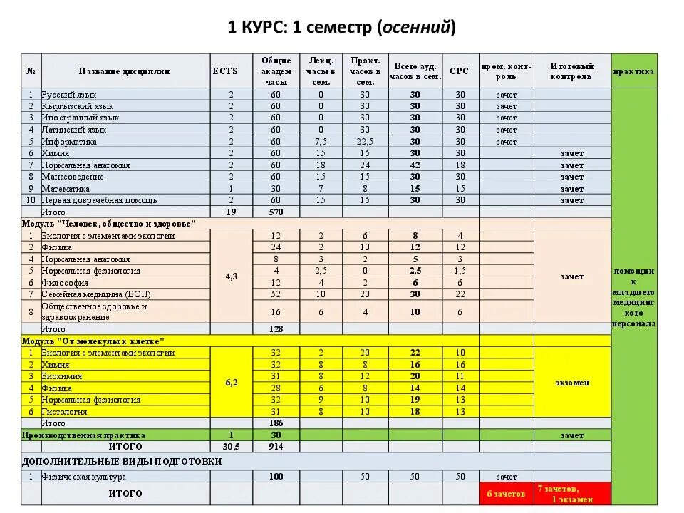 Учебный план 1 курса медицинского университета. Учебный план медицинского вуза. Список предметов на первом курсе медицинского университета. Предметы в техникуме. Два семестра