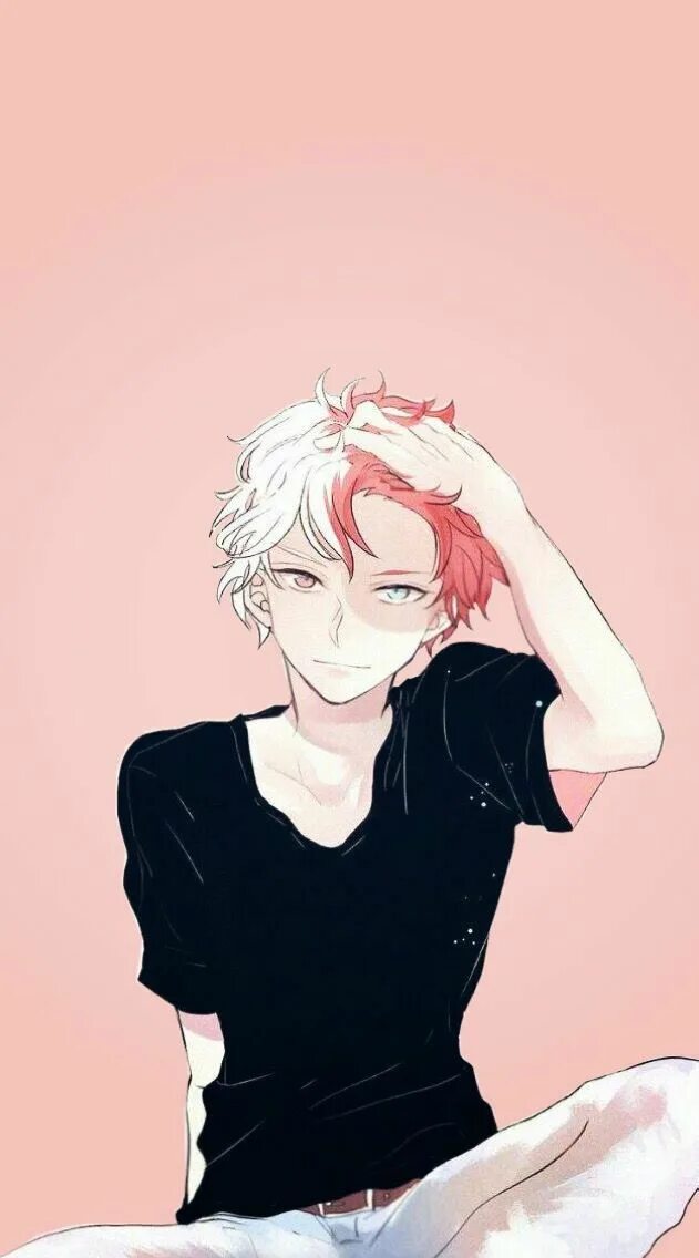 Todoroki reader