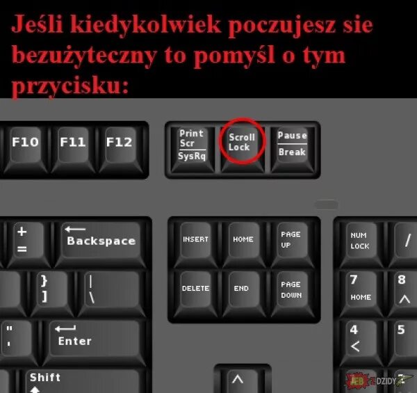 Что такое scroll lock на клавиатуре. Кнопка скролл лок на клавиатуре. Кнопка Scroll Lock клавиатура MSI. Кнопка SCRLK на клавиатуре.