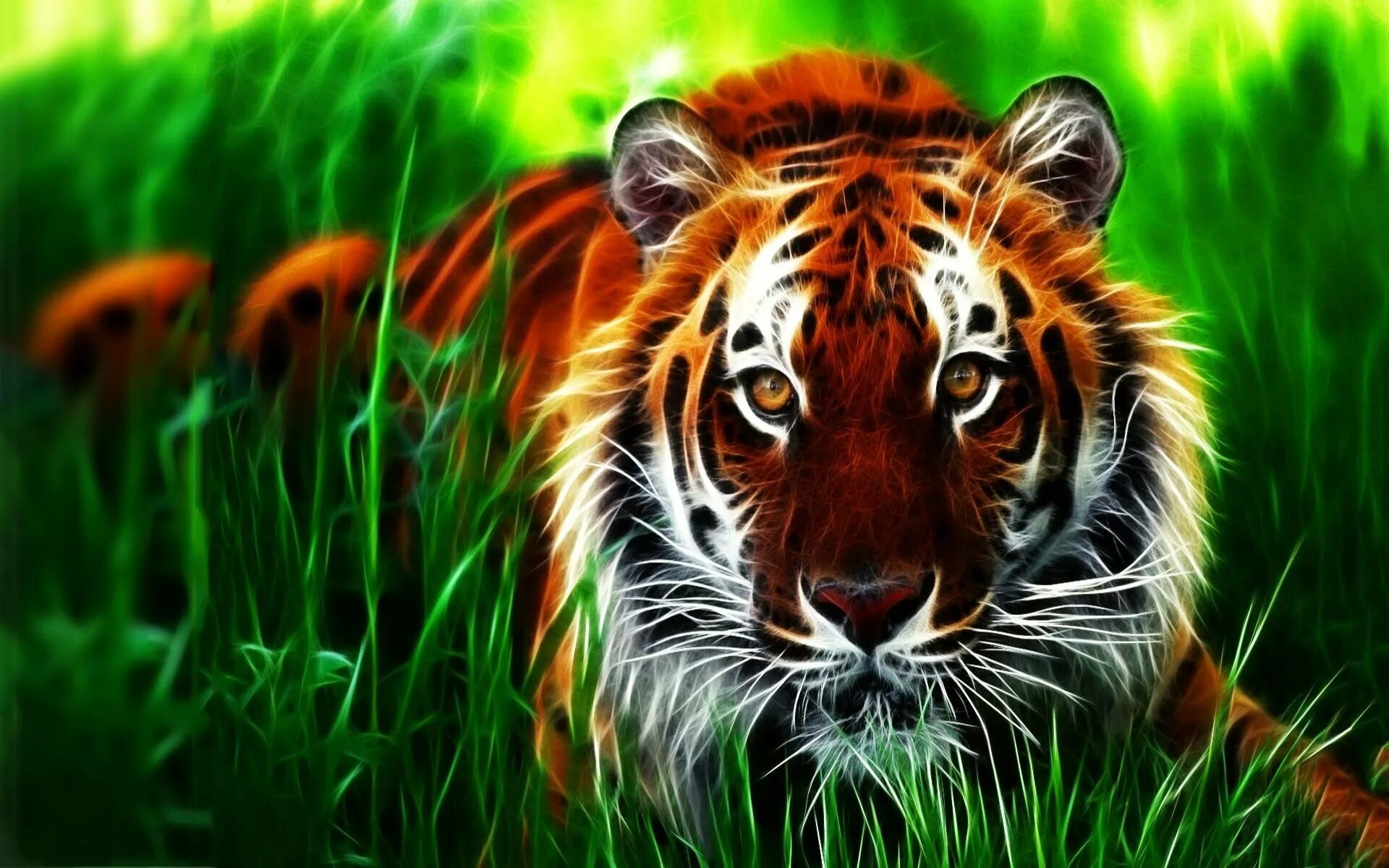 Красивая заставка тигр. Тигр 3. Тигр картинки. Картинки на рабочий стол животные. Заставка на рабочий стол тигр.