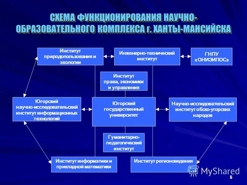 органы управления образовательных учреждений. структура управления образовательным комплексом. структура управления образовательным комплексом. управления образовательным комплексом. модель управления образовательным комплексом.