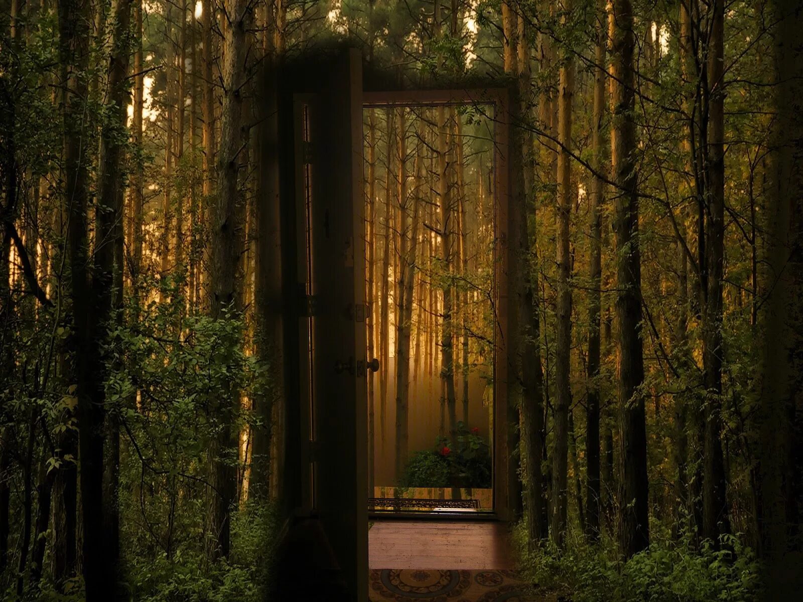 Forest too. Чаща роща тайга бор. Федмакров лес. Манхва токкэби тоже нужен лес. Лесная опушка дремучего леса.